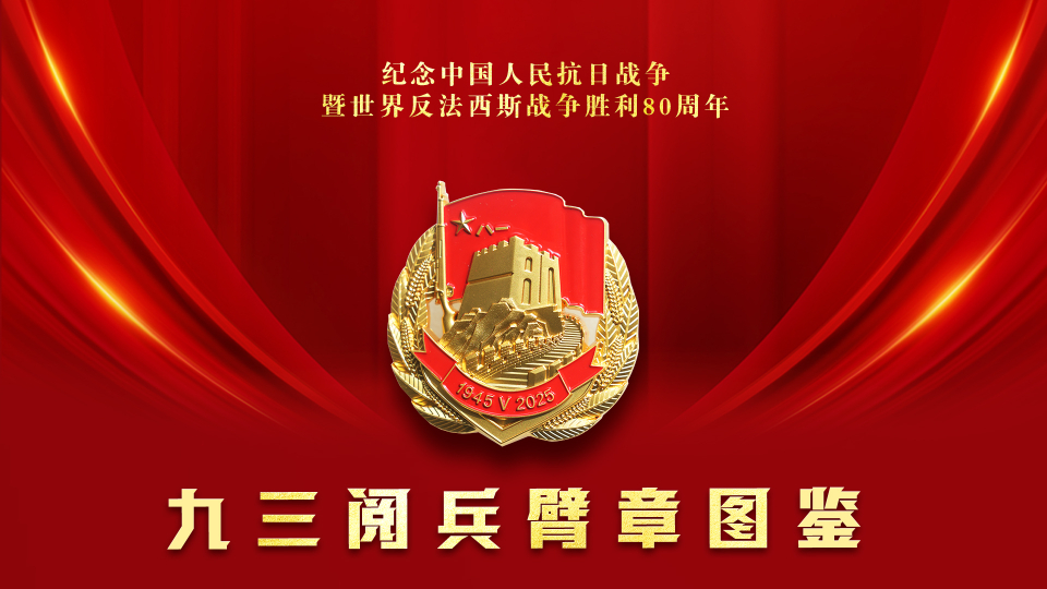 請收藏！九三閱兵臂章圖鑒