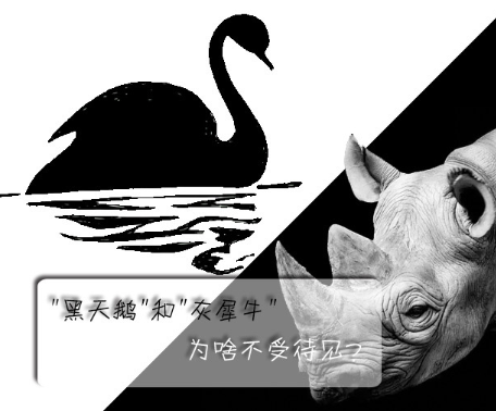 "黑天鵝"和"灰犀牛"為啥不受待見？