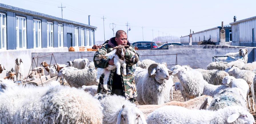易地搬遷讓村民“住得好、能致富”