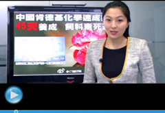 權(quán)威聲音：“快時(shí)代”究竟還有什么可以速成？