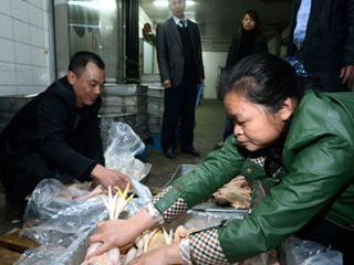 江西宰殺、冷凍積壓禽肉 緩解H7N9禽流感影響