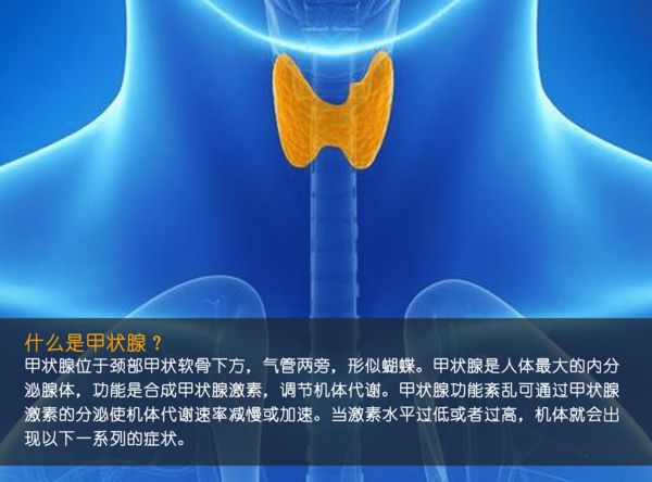 關(guān)注甲狀腺健康，你應(yīng)該知道的那些事