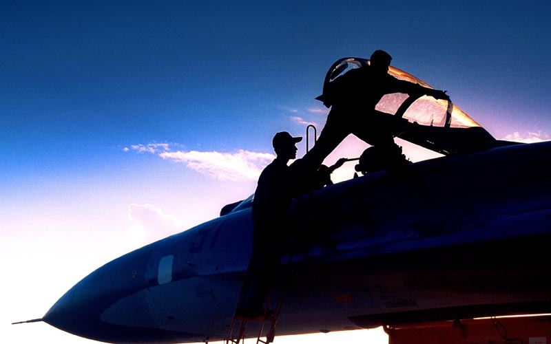 沈玲作品:好想和你一起飛