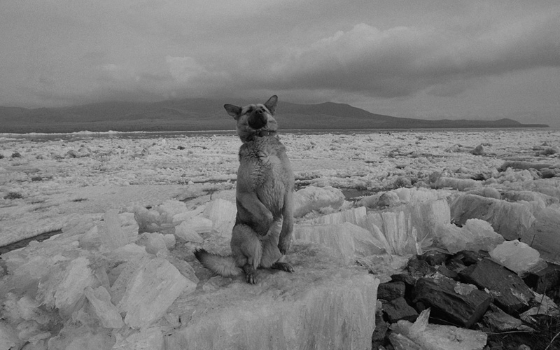 線云強(qiáng)作品:東方第一哨，最早迎接太陽(yáng)的士兵