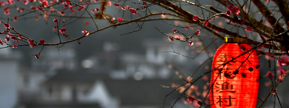 春來花開，綻放正當(dāng)時(shí)