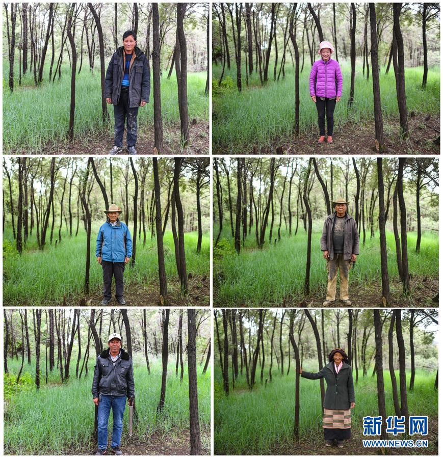 （十九大·讀報(bào)告 話民生）（9）加快生態(tài)文明體制改革，建設(shè)美麗中國
