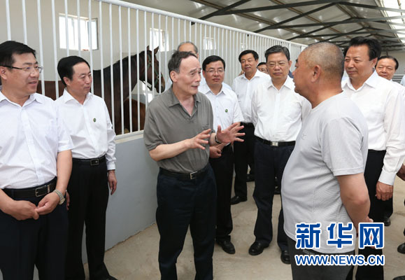 這是7月3日，王岐山在錫林浩特市義合良種馬繁育基地考察。新華社記者 龐興雷 攝