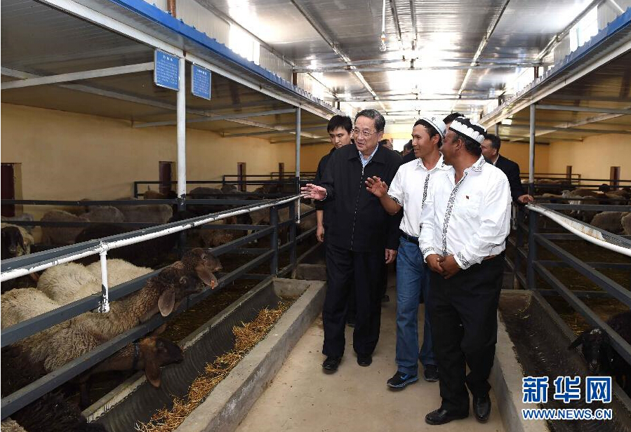 9月27日，中共中央政治局常委、全國(guó)政協(xié)主席、中央代表團(tuán)團(tuán)長(zhǎng)俞正聲率中央代表團(tuán)部分成員赴喀什地區(qū)莎車(chē)縣看望各族干部群眾。這是俞正聲在新疆生產(chǎn)建設(shè)兵團(tuán)第三師莎車(chē)農(nóng)場(chǎng)實(shí)地察看萬(wàn)只羊養(yǎng)殖基地。新華社記者 饒愛(ài)民 攝