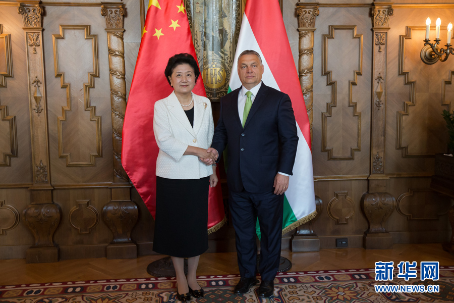  6月21日，國務(wù)院副總理劉延?xùn)|（左）在匈牙利布達(dá)佩斯國會大廈會見匈牙利總理歐爾班。 新華社發(fā)（弗爾季·奧蒂洛攝）