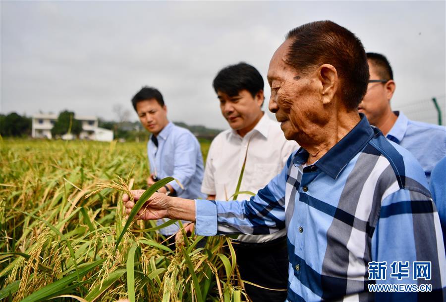 （新華視點(diǎn)·圖文互動(dòng)）（2）國(guó)家科技獎(jiǎng)3項(xiàng)授予“水稻科學(xué)家”，預(yù)示百姓飯碗將發(fā)生哪些革命？