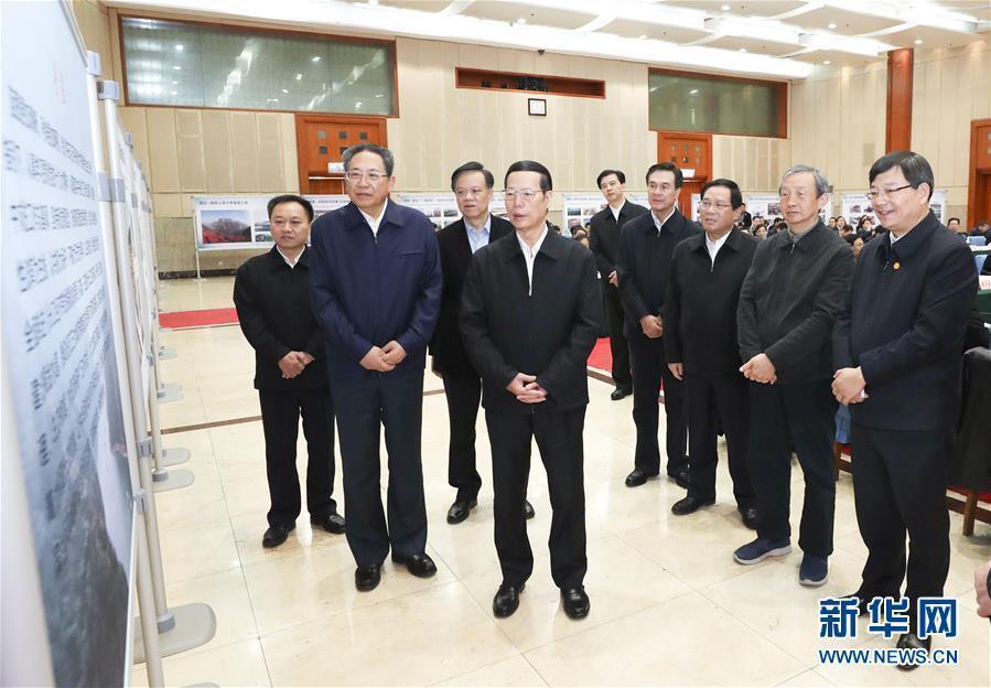 1月9日至10日，國務(wù)院副總理張高麗在安徽調(diào)研推動長江經(jīng)濟(jì)帶發(fā)展工作。這是1月10日，張高麗主持召開推動長江經(jīng)濟(jì)帶發(fā)展工作會議前聽取介紹。新華社記者 龐興雷 攝