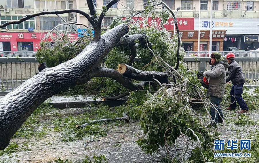 （新華全媒頭條）（7）雨雪冰凍中，他們奮力前行——基層黨員干群抗擊冰雪災(zāi)害紀(jì)實(shí)