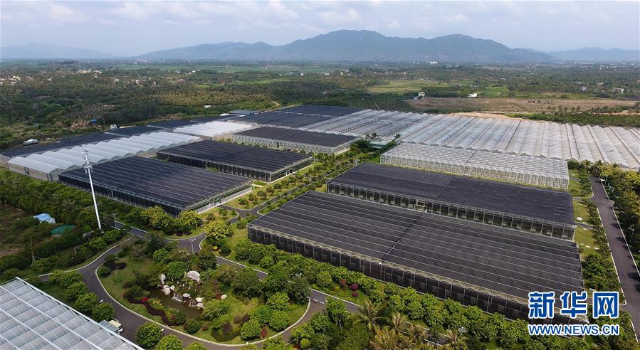 (社會(huì))(4)科技助力海南現(xiàn)代農(nóng)業(yè)發(fā)展