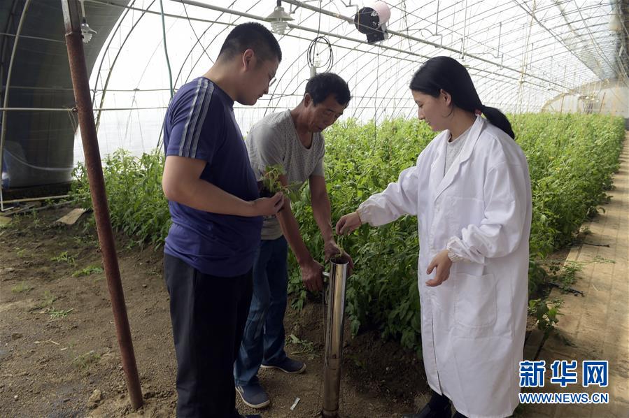 (經(jīng)濟(jì))(1)推廣農(nóng)業(yè)科技助推鄉(xiāng)村振興