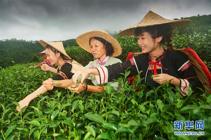 (新華全媒頭條·潮起海之南·圖文互動)(7)春潮拍岸千帆進(jìn)——海南特區(qū)改革開放30年紀(jì)實(shí)