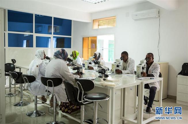 (新華全媒頭條·世界防治瘧疾日·圖文互動(dòng))(2)“月亮之國(guó)”的驅(qū)魔人——記非洲抗瘧戰(zhàn)場(chǎng)上的廣東團(tuán)隊(duì)