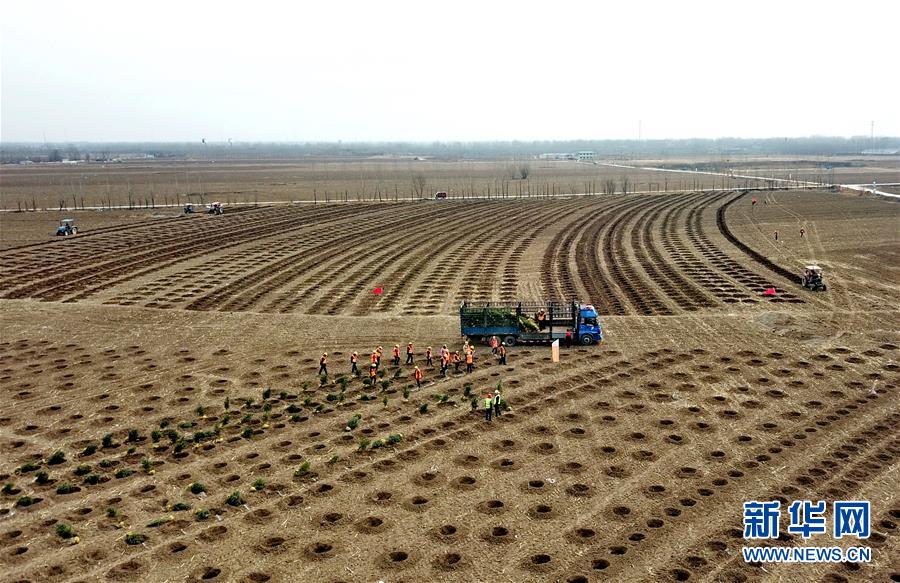 (新華全媒頭條·圖文互動(dòng))(6)奮進(jìn)新時(shí)代 建設(shè)雄安城——以習(xí)近平同志為核心的黨中央謀劃指導(dǎo)《河北雄安新區(qū)規(guī)劃綱要》編制紀(jì)實(shí)