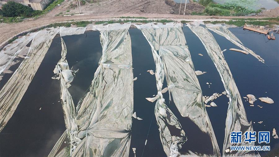 （新華視點(diǎn)·圖文互動(dòng)）（4）中央督察兩年有的絲毫未改，有的不減反增——江蘇泰興數(shù)萬(wàn)噸化工廢料和污泥堆放長(zhǎng)江邊調(diào)查