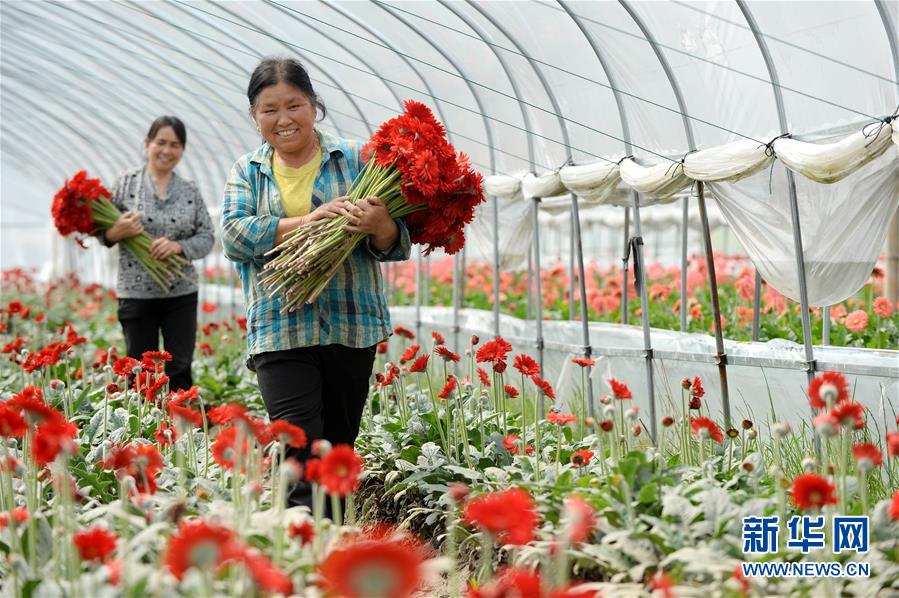 (大江奔流——來自長(zhǎng)江經(jīng)濟(jì)帶的報(bào)道·新華全媒頭條·圖文互動(dòng))(3)擘畫新時(shí)代中國(guó)發(fā)展新坐標(biāo)——深入推動(dòng)長(zhǎng)江經(jīng)濟(jì)帶發(fā)展述評(píng)