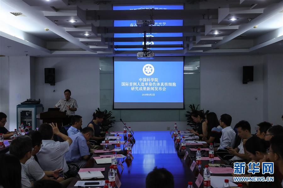 (新華全媒頭條·圖文互動(dòng))(6)人造單條染色體真核細(xì)胞問(wèn)世 我國(guó)開啟合成生物學(xué)研究新時(shí)代