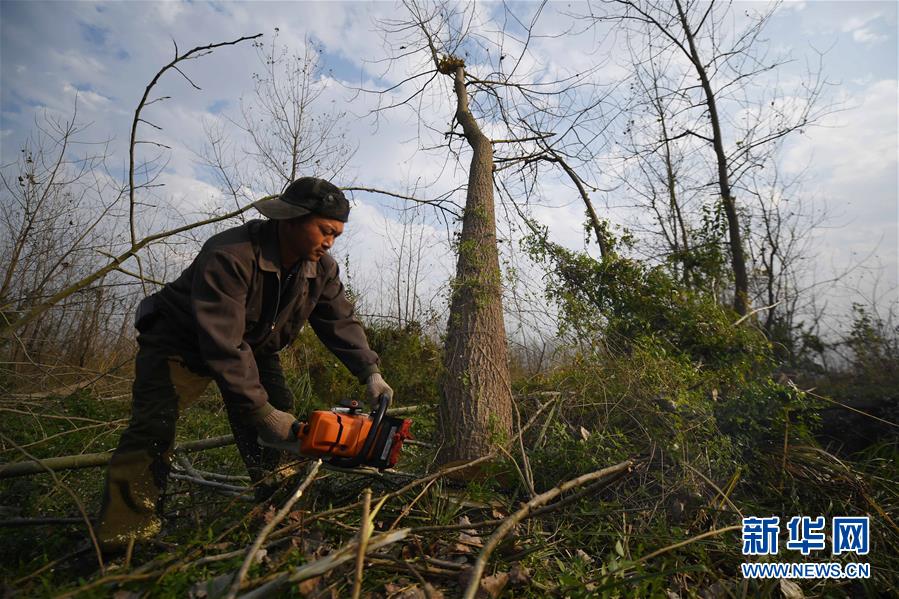 (大江奔流——來自長江經(jīng)濟(jì)帶的報(bào)道·新華全媒頭條·圖文互動(dòng))(6)打造經(jīng)濟(jì)高質(zhì)量發(fā)展的強(qiáng)勁引擎——深入推動(dòng)長江經(jīng)濟(jì)帶發(fā)展述評(píng)