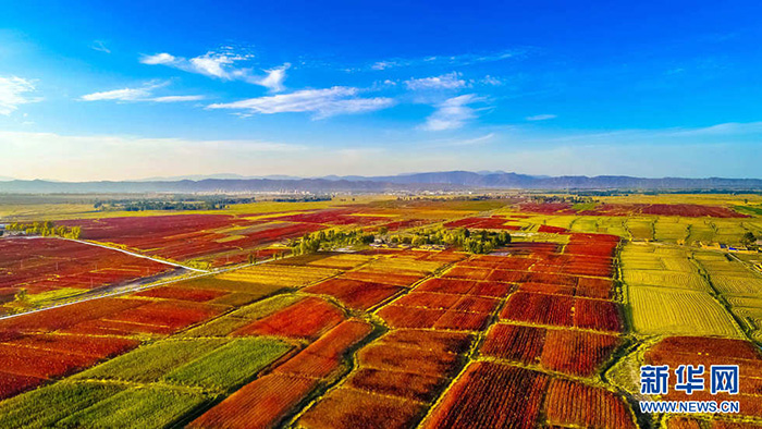 秋收的中國，你想象不到的美！但更美的是……