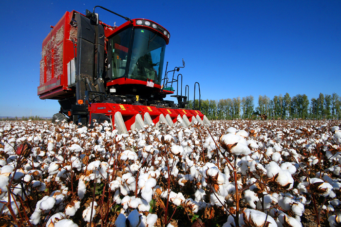 秋收的中國，你想象不到的美！但更美的是……