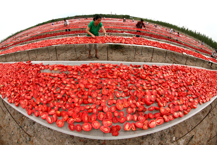 秋收的中國，你想象不到的美！但更美的是……
