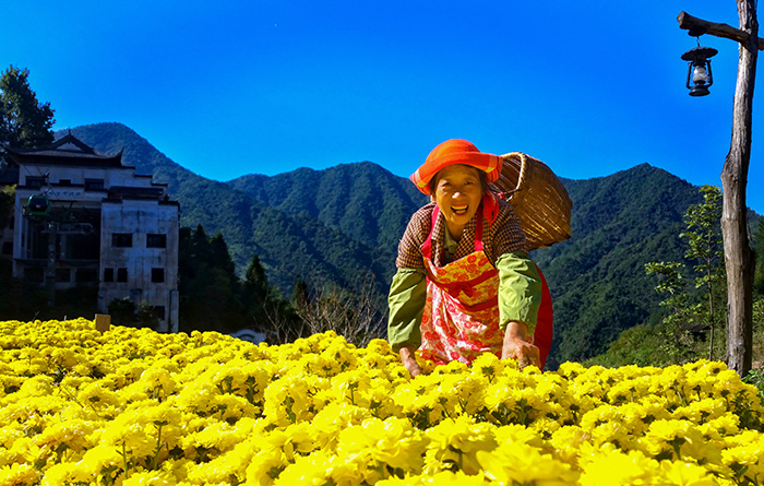 秋收的中國，你想象不到的美！但更美的是……