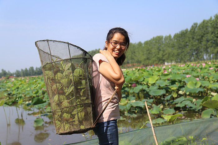 秋收的中國，你想象不到的美！但更美的是……
