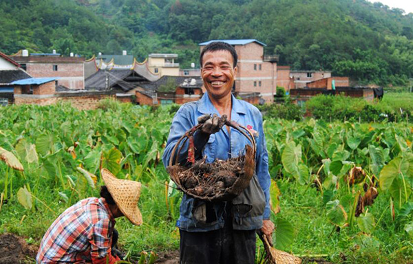 秋收的中國，你想象不到的美！但更美的是……