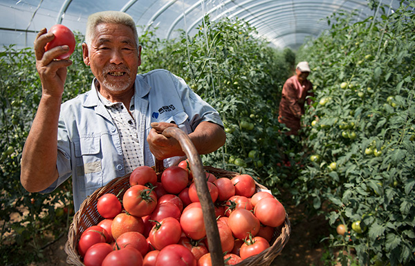秋收的中國，你想象不到的美！但更美的是……