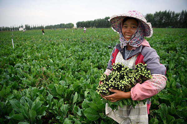 秋收的中國，你想象不到的美！但更美的是……