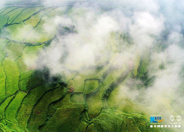 秋收的中國，你想象不到的美！但更美的是……