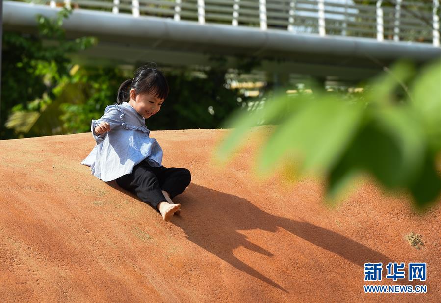 （圖文互動·百城百縣百企調(diào)研行）（3）“濕地海口”的生態(tài)文明建設實踐