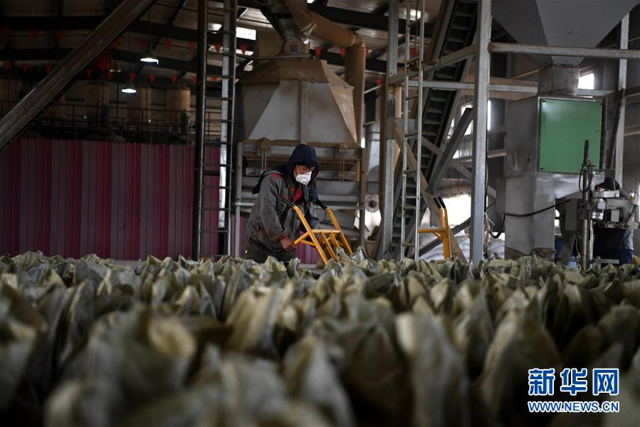 （在習(xí)近平新時代中國特色社會主義思想指引下——新時代新氣象新作為·鄉(xiāng)村振興戰(zhàn)略·圖文互動）（1）“與其放火，不如打包”——山西渾源秸稈綜合再利用見聞