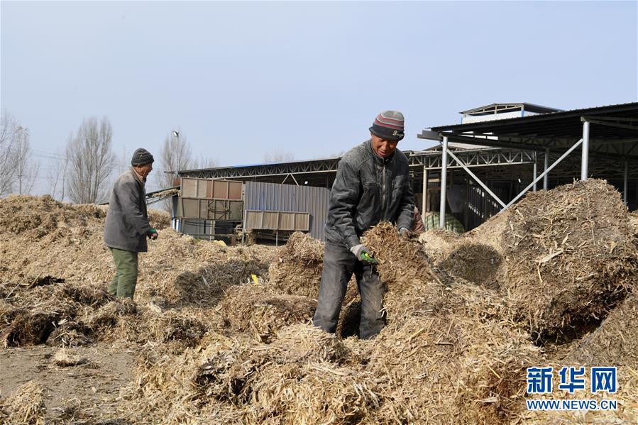 （在習(xí)近平新時代中國特色社會主義思想指引下——新時代新氣象新作為·鄉(xiāng)村振興戰(zhàn)略·圖文互動）（2）“與其放火，不如打包”——山西渾源秸稈綜合再利用見聞