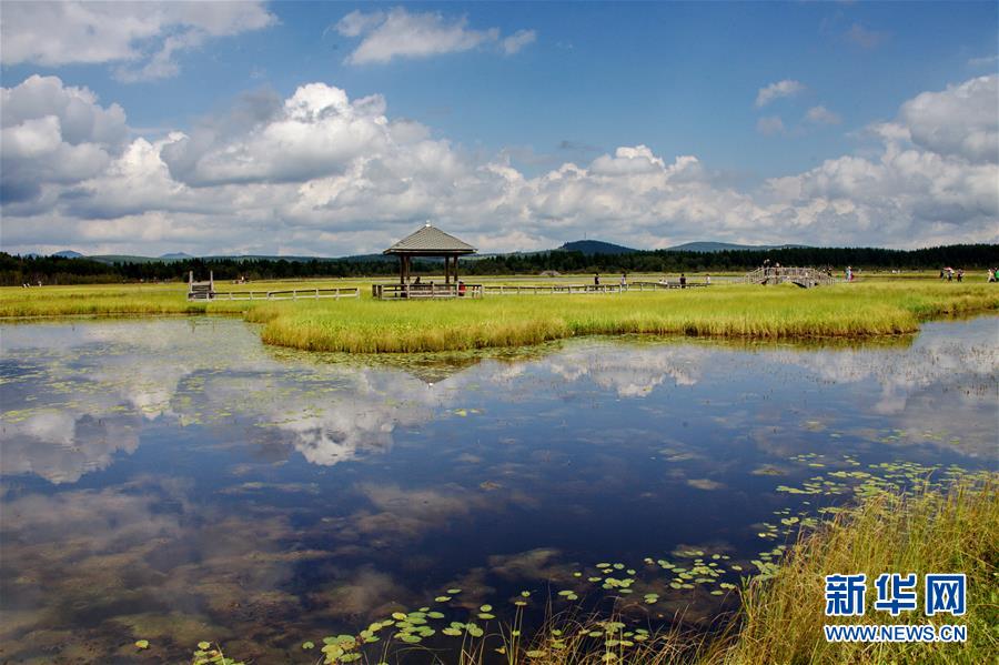 （新華全媒頭條·圖文互動(dòng)）（2）那一抹綠色，走進(jìn)越來(lái)越多人心里——河北塞罕壩續(xù)寫新時(shí)代綠色傳奇