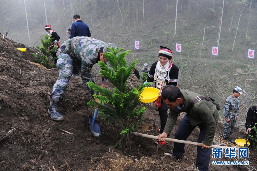 （圖文互動(dòng)）（6）和平年代，離死神最近的人——南部戰(zhàn)區(qū)陸軍云南掃雷大隊(duì)邊境掃雷排爆記事