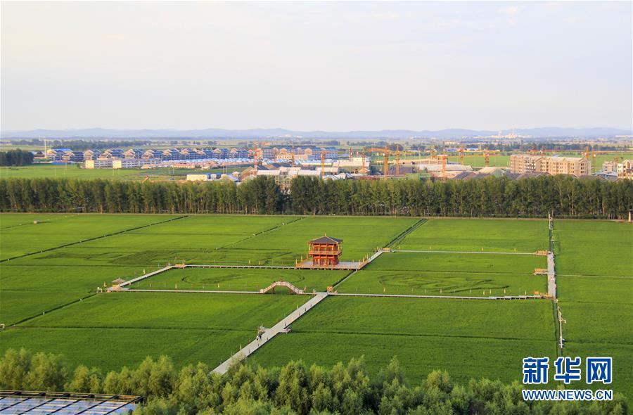 (慶祝改革開(kāi)放40周年基層行·鄉(xiāng)鎮(zhèn)篇·圖文互動(dòng))(3)三產(chǎn)融合培育鄉(xiāng)村振興熱土——吉林孤店子鎮(zhèn)“村變城”背后的故事