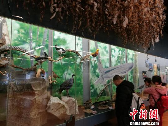 圖為展覽現(xiàn)場?！『h航 攝