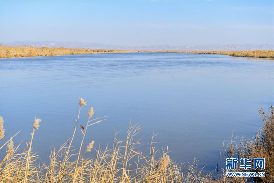 (在習近平新時代中國特色社會主義思想指引下——新時代新作為新篇章·圖文互動)(1)打響綠色品牌 “四控”治污增效——內蒙古巴彥淖爾探索農業(yè)高質量發(fā)展