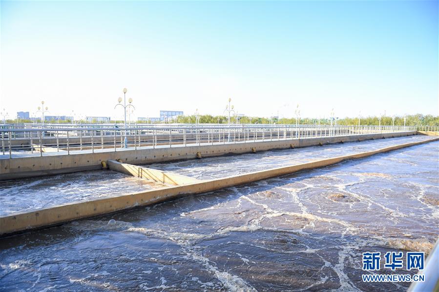 (在習近平新時代中國特色社會主義思想指引下——新時代新作為新篇章·圖文互動)(2)打響綠色品牌 “四控”治污增效——內蒙古巴彥淖爾探索農業(yè)高質量發(fā)展