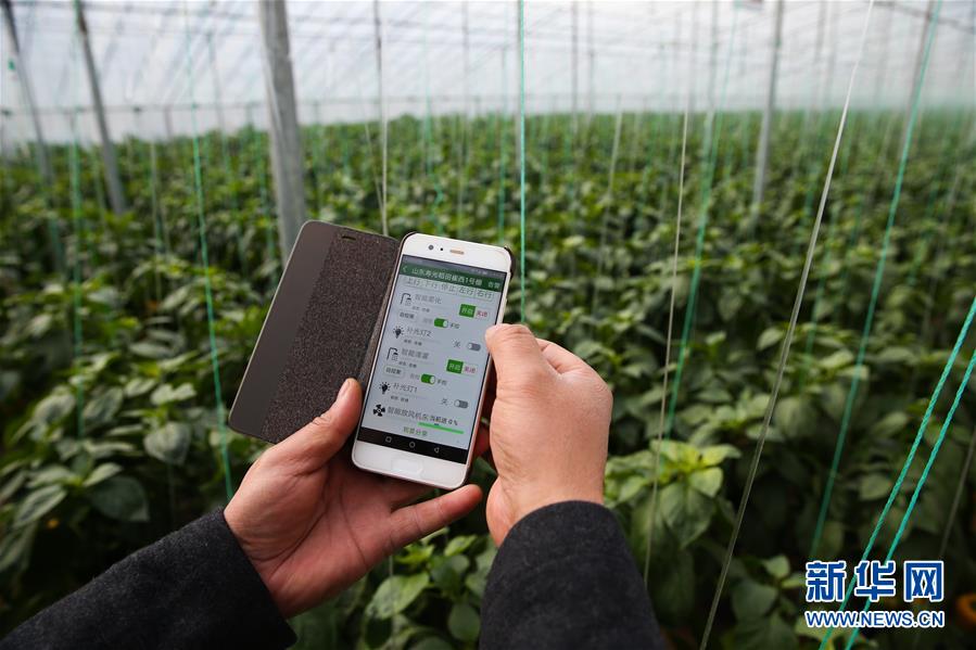 （新華全媒頭條·圖文互動）（8）聚焦高質(zhì)量，躍上新臺階——新年開局看中國經(jīng)濟信心和潛力