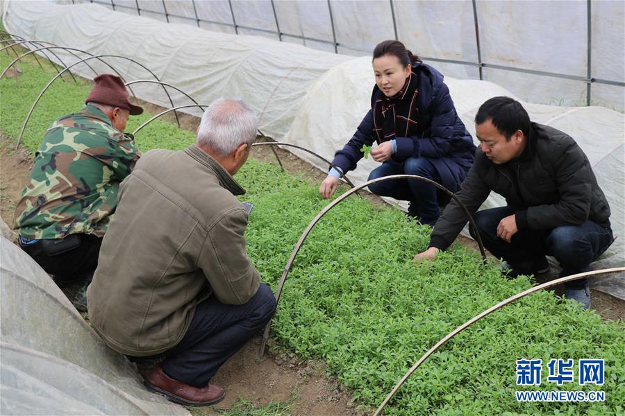 (兩會前夕看落實(shí)·圖文互動)(1)奮力脫貧攻堅(jiān) 生態(tài)追“清”逐“綠”——江西落實(shí)習(xí)近平總書記全國兩會重要講話精神紀(jì)實(shí)