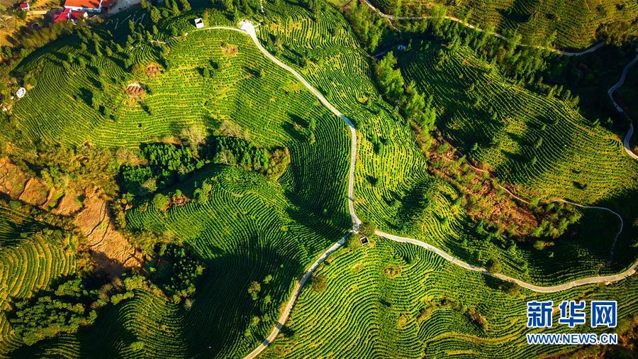 (兩會前夕看落實(shí)·圖文互動)(5)奮力脫貧攻堅(jiān) 生態(tài)追“清”逐“綠”——江西落實(shí)習(xí)近平總書記全國兩會重要講話精神紀(jì)實(shí)