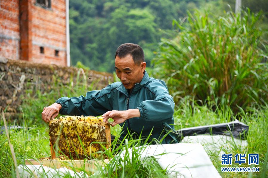 (兩會前夕看落實(shí)·圖文互動)(7)奮力脫貧攻堅(jiān) 生態(tài)追“清”逐“綠”——江西落實(shí)習(xí)近平總書記全國兩會重要講話精神紀(jì)實(shí)