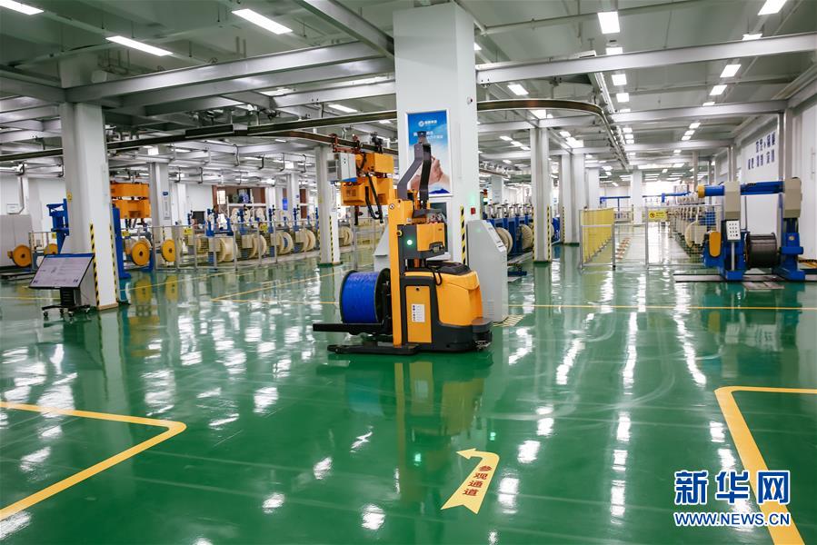 (新華全媒頭條·圖文互動(dòng))(7)沖寒先已笑東風(fēng)——新春浙江民營企業(yè)走訪實(shí)錄