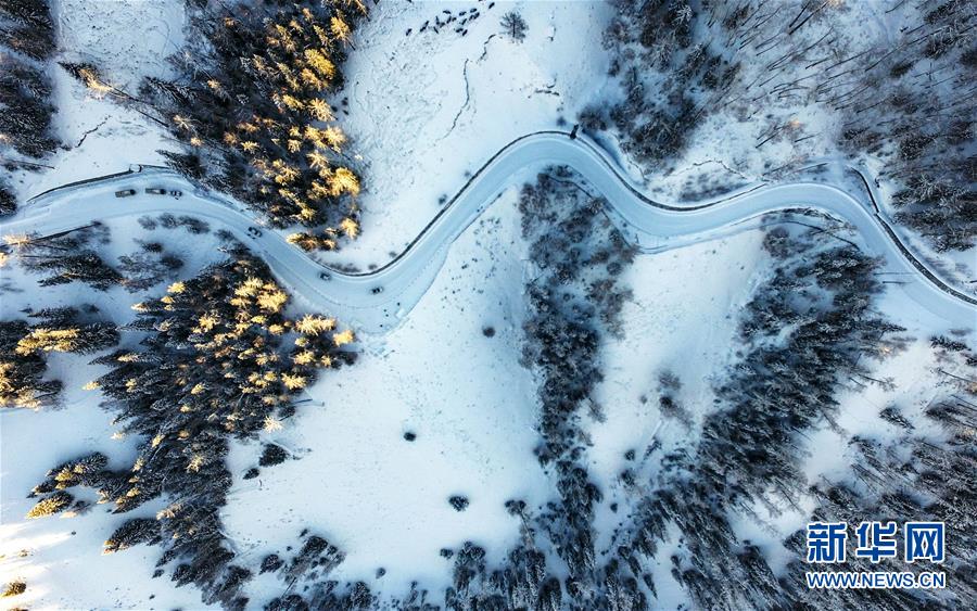 (兩會(huì)前夕看落實(shí)·圖文互動(dòng))(6)牢記囑托增進(jìn)民族團(tuán)結(jié) 凝心聚力建設(shè)美麗新疆——新疆落實(shí)習(xí)近平總書記全國(guó)兩會(huì)重要講話精神紀(jì)實(shí)