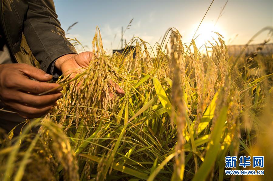 (新華全媒頭條·迎接兩會特別報道·圖文互動)(4)會當水擊三千里——全國兩會前夕看中國信心